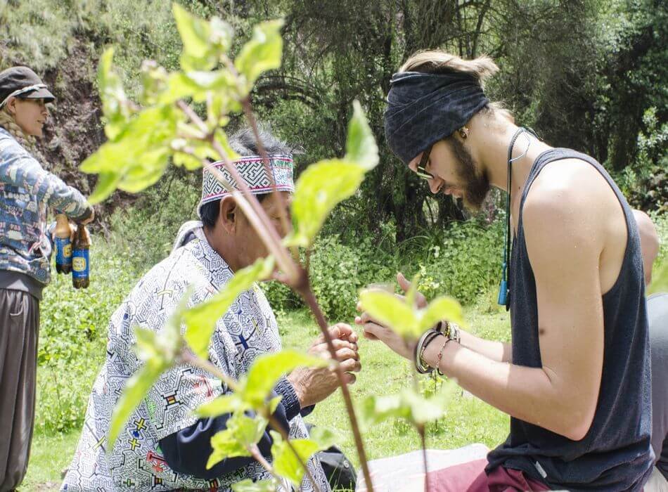 Ayahuasca Ceremony Cusco